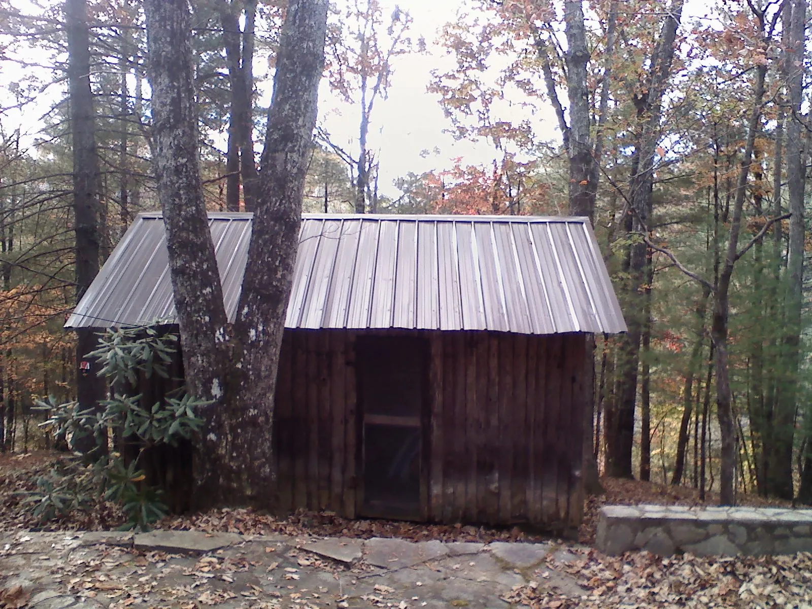 New metal gable roof on a small log shed among the trees in Laguna Niguel